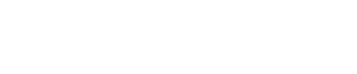 light logo